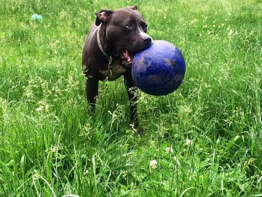 Miss Jada Pink-it and her giant ball :)