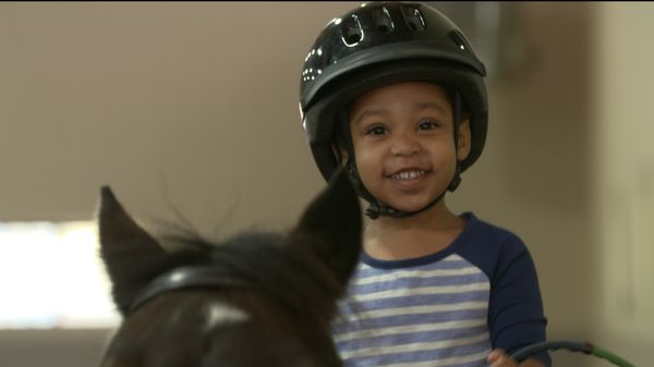 Legacy Saddlebreds teaches riding lessons to students as young as 3 years old. Our instructors have over 100 years combined experience.