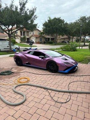 Lambo detail