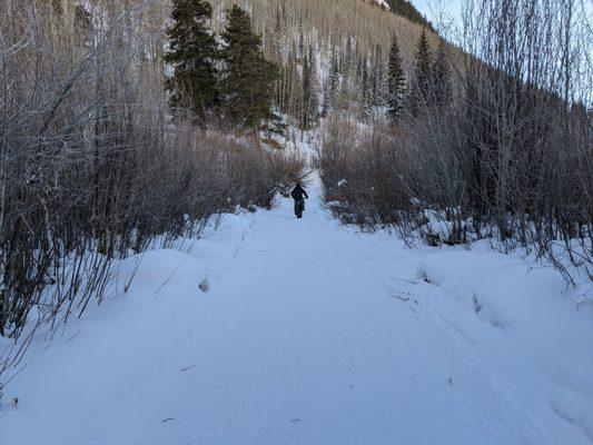 Fat Tire Biking