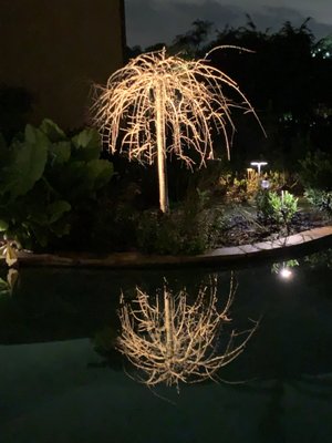 Weeping cherry tree that Abulous lighting lit up in a customer's yard