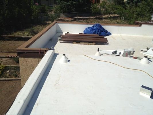 TPO Roof replacement