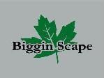 Biggin Scape