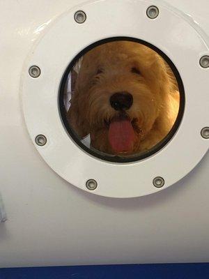 Ducky in the hyperbaric chamber