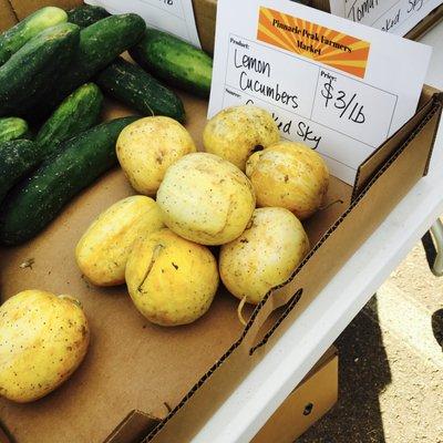 Lemon Cucumbers from Crooked Sky Farms