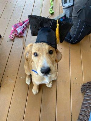 One of our happy patients when he "graduated" to his one year vaccines.