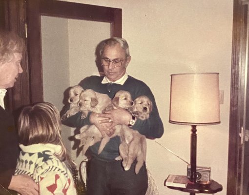 Peter Huser living the dream with an armful of Golden Retriever puppies 1984