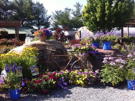 Quality Perennials, Annuals, Trees and Shrubs