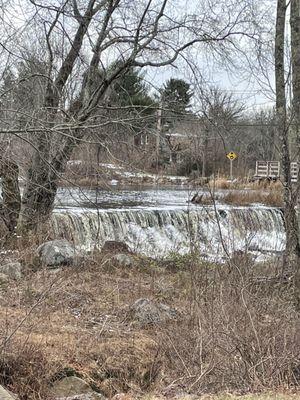 View of the Queen River