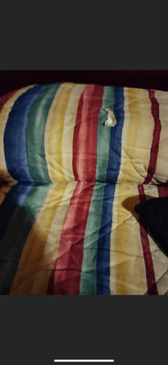 Holes in bedspread