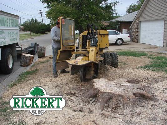 Stump Grinding & Removal