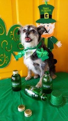 Ruby is ready for St. Patrick's Day