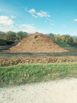 Future compost