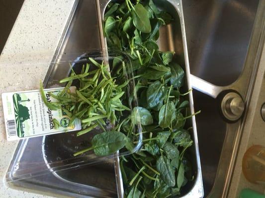 This picture shows the share 'unknown' vs. baby spinach.