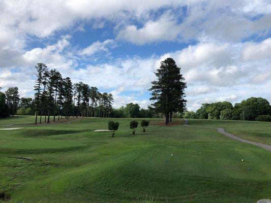 #1 Tee & #2 Green