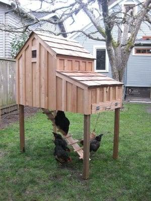 "Saltbox Coop" $775