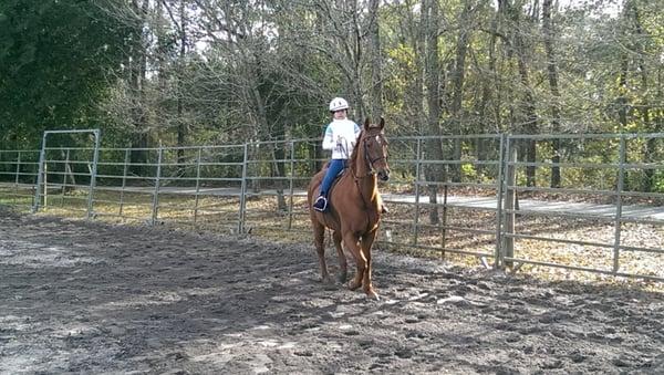 Gravel Hill Farms