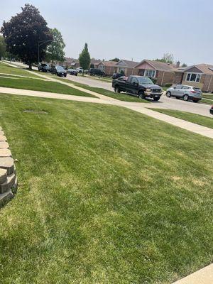 Weekly Mow