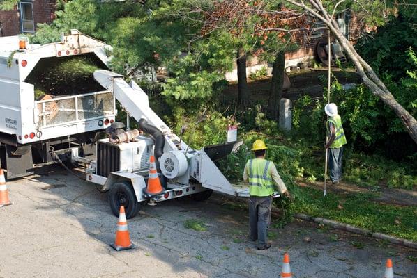 Chuck Thomas Tree Service