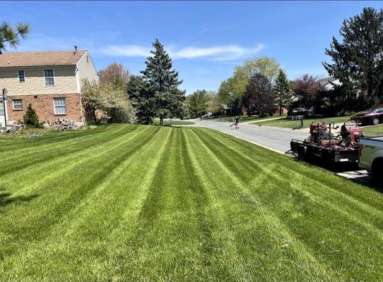 Right Cut Lawncare