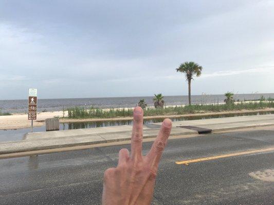 Driving the golf cart down the coast of the Gulf of Mexico!!