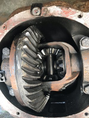 Differential replacement