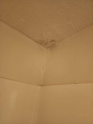 Mold in bathroom