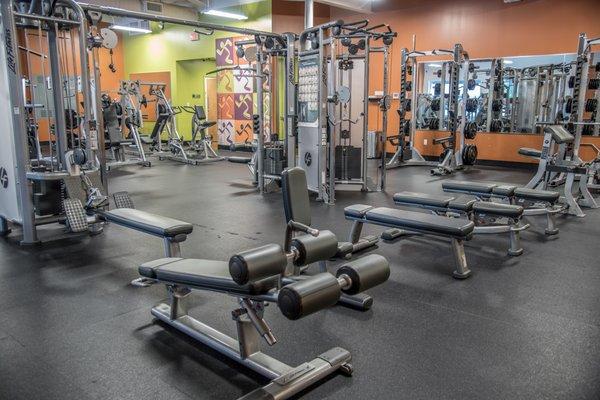 We have a full array of benches, weights, and cables for a specialized, full body workout