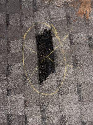 Roof shingle damaged from hurricane winds