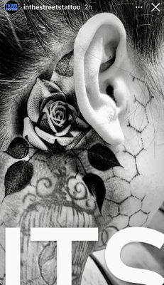 Beautiful rose behind the ear