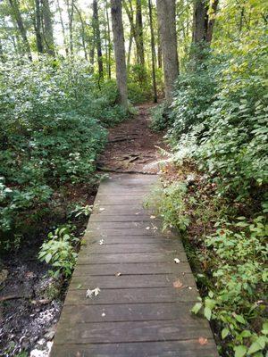 In the Whipple conservation area, accessible from the Greenway