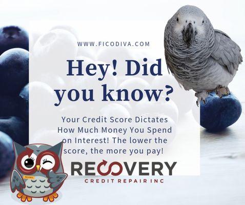 #lucy #wants #to #see #if #you #knewit 

#ficodiva #recoverycreditrepairinc #ficoscore #Fico  #creditrepair