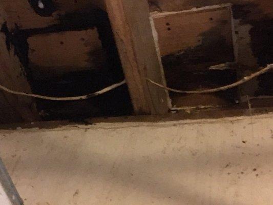 Water damage in our basement.