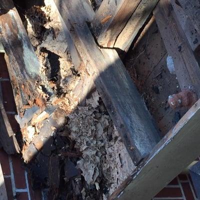 Rotted Wood - Roof Repair