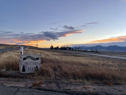 Colorado Native