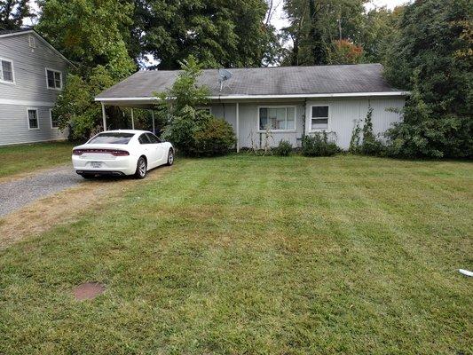 Grass cut  landscaping