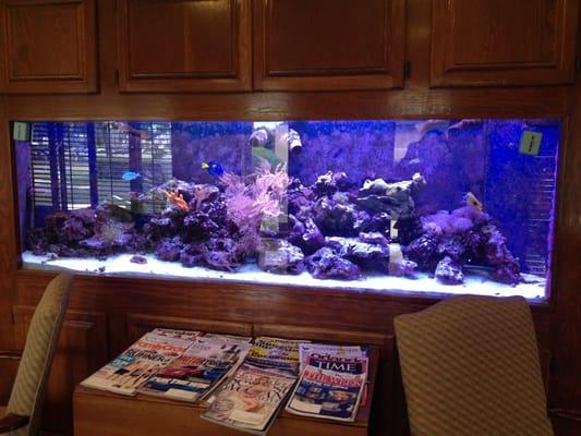 Fish tank