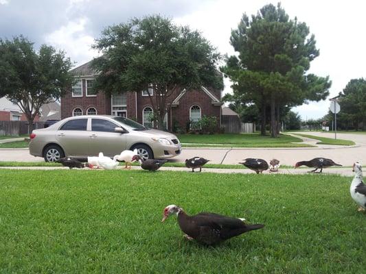 Eating off the sidewalk