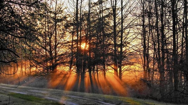 Sunrise at Bacon Ridge Natural Area. Courtesy of (Wendy Crowe / HANDOUT)