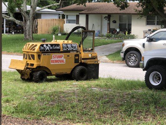 An Axe To Grind Stump Removal