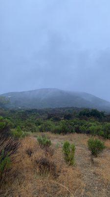 Early morning trail run