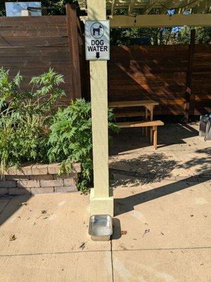 Dog friendly patio! On a hot day, the owner even added ice for our pup.