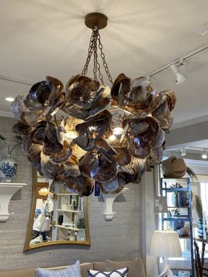 Seashell chandelier