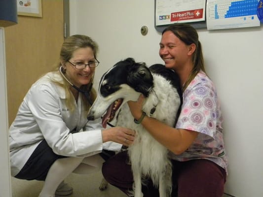 Dr. Kate An Hunter shares some smiles with one of her canine companions.