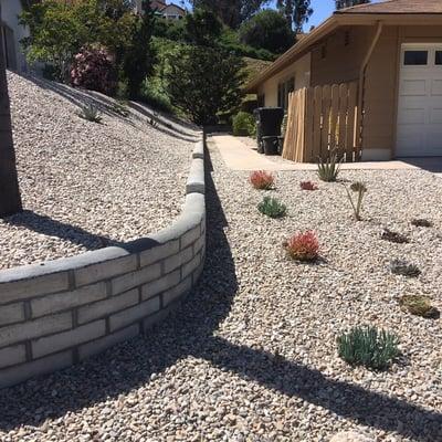 Rock bed and water saving desert plants