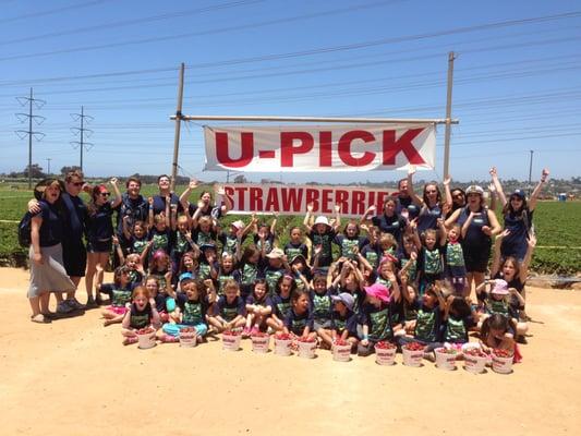 Camp Jaycee picking strawberries