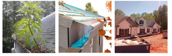 Healthy Gutters