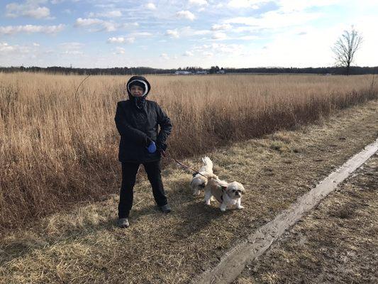 Dog walking at Mercer Meadows