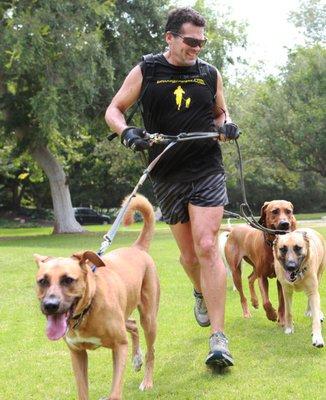 Bob and a couple of our lovable clients getting some exercise!