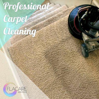 Professional Hot Water Extraction Carpet Cleaning